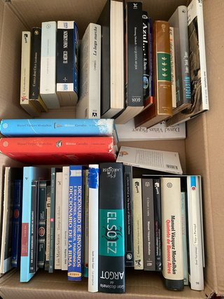 Lote libros novela en castellano