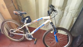 Bicicleta de Montaña Boomerang 24