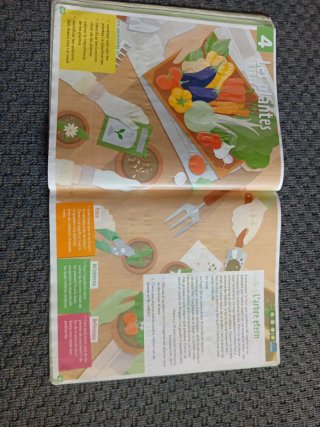 Medi natural, 3 Educació Primària Projecte Zoom