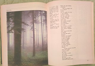Pagine Vive Antologia Italiana per la scuola media