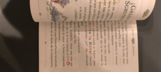 Libro infantil Gerónimo Stilton
