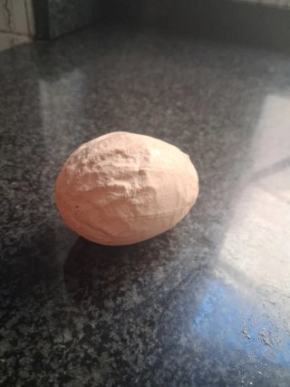 Huevo de gallina real en manacor super raro