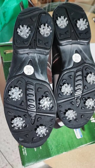 Zapatos de golf Lion Golf Talla 43