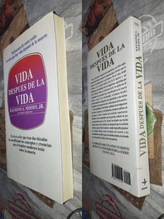 Vida después de la vida Testimonios de casos re...
