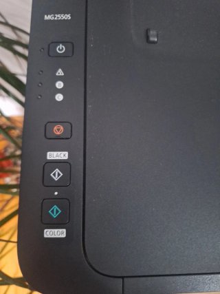 Stampante Canon PIXMA MG2550S
