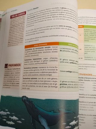 Lengua castellana y literatura, 1 BACH.