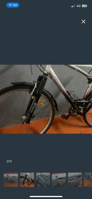 Bicicleta de Montaña Plateada
