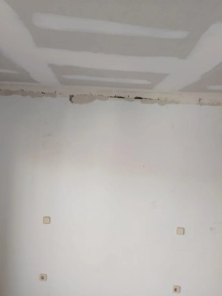 Servicio de Pintura Profesional