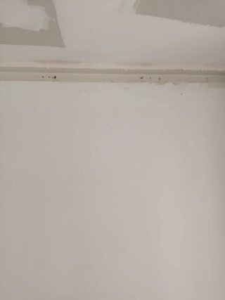 Servicio de Pintura Profesional