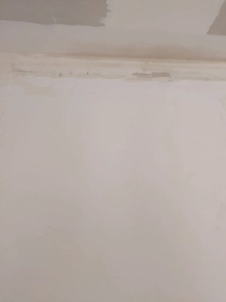 Servicio de Pintura Profesional