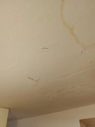 Servicio de Pintura Profesional