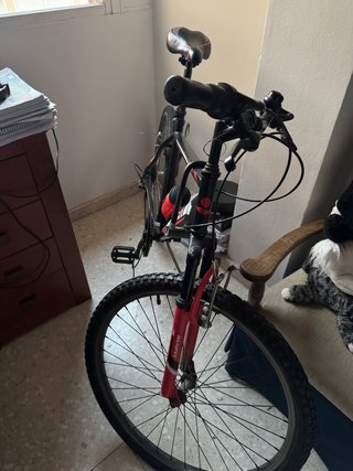 Bicicleta Runfit Sprint Negra Mate 26