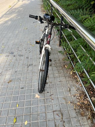Bicicleta de Montaña Topbike
