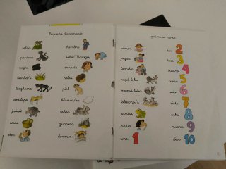 Colección libros pictogramas