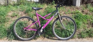 Bicicleta Vivanti Racing 126Y Morada