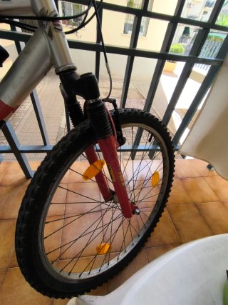 Bicicleta de Montaña Roja y Plateada