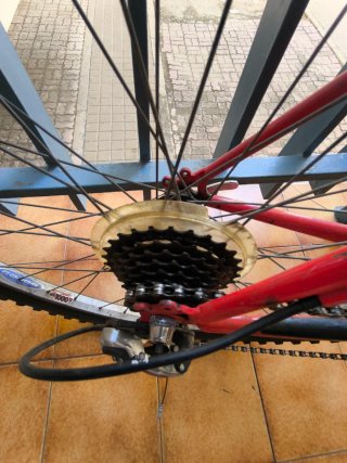 Bicicleta de Montaña Roja y Plateada