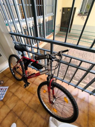 Bicicleta de Montaña Roja y Plateada