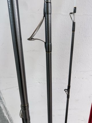 Pareja de Cañas Daiwa Tournament Z33