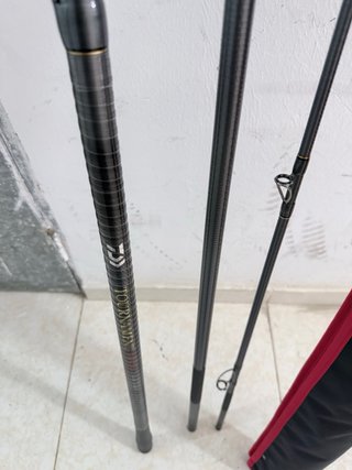 Pareja de Cañas Daiwa Tournament Z33