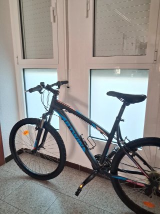 Bicicleta de montaña
