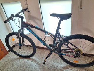 Bicicleta de montaña