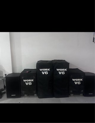 Altavoces Profesionales Work V6