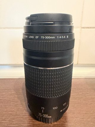 Canon EOS 90D + 18-135 USM + 75-300mm