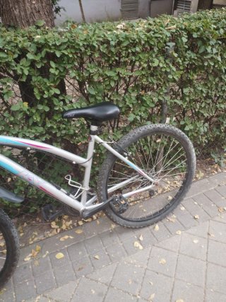 Bicicleta de Montaña Plateada