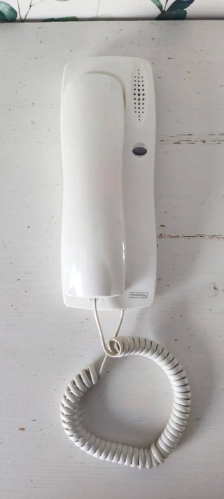 Telefonillo Evology