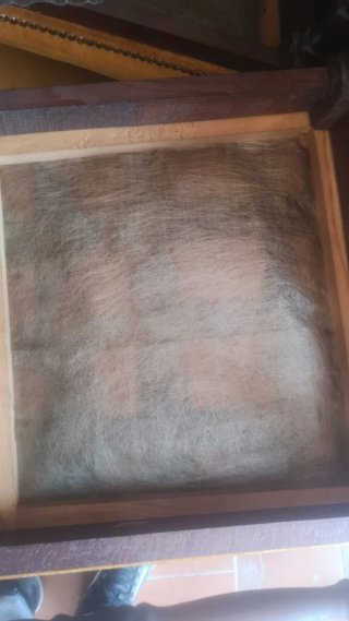 Sillas de madera tapizadas mostaza