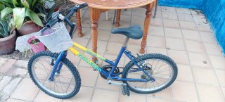 Bicicleta Infantil Guillermo 17''