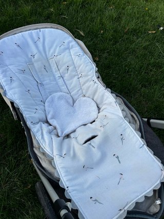 Carrito Bugaboo Cameleon 3