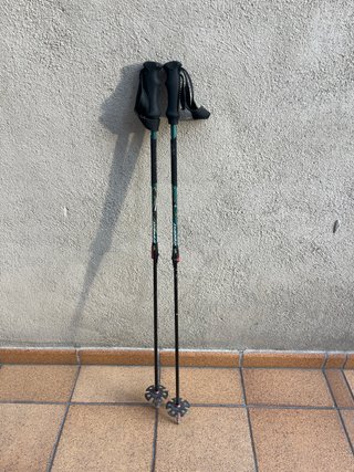 Bastones de trekking ajustables