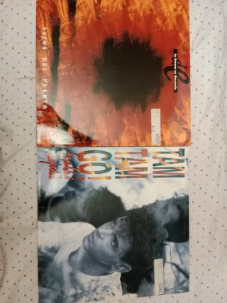 2 Vinilos: La Dama se Esconde y Tam Tam Go!