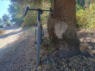 Bicicleta Gravel 3T Exploro Team Talla L (56)