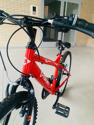 Bicicleta de Montaña Toplife Roja