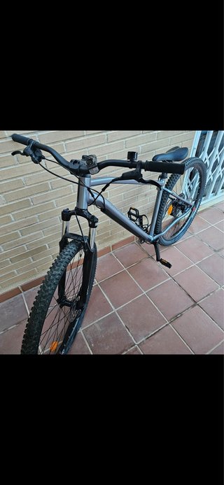 Bicicleta de Montaña Gris