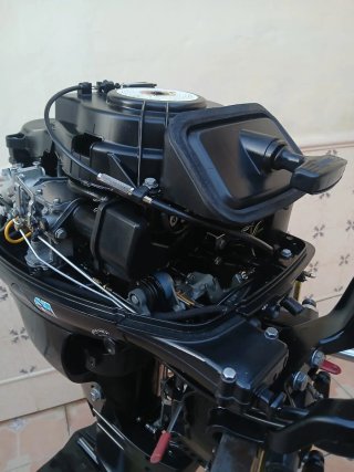 Motor fueraborda Mercury Fourstroke