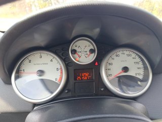 Peugeot 207 2009