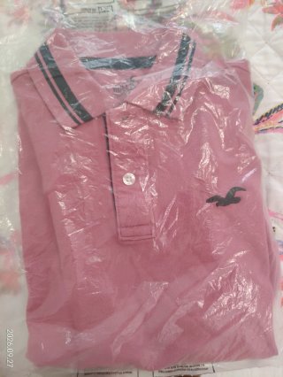 Polo Hollister