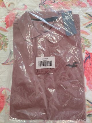 Polo Hollister