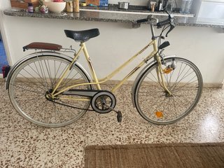 Bicicleta Paseo Mujer Vintage