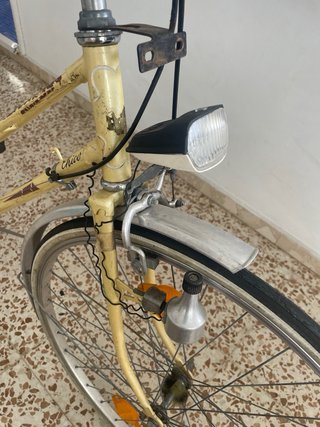 Bicicleta Paseo Mujer Vintage
