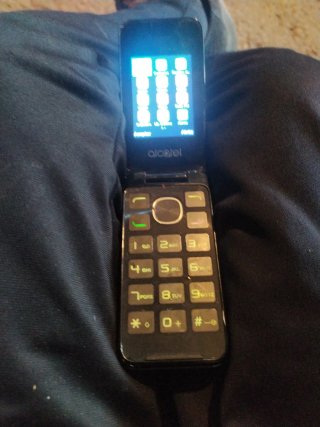 Telefono Mobile Alcatel Cover Nero