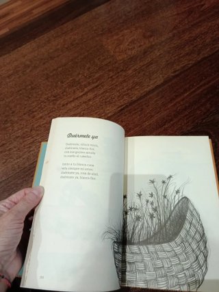 Cancionero infantil