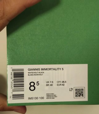 T42 Nike Giannis Immortality 5