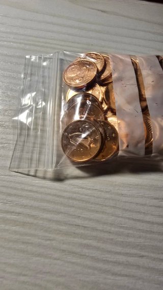 48 Monedas de 1 Céntimo Irlanda 2007