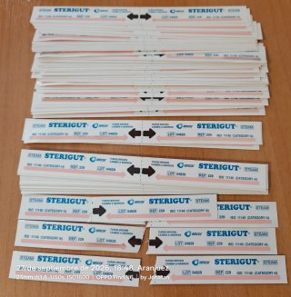Lote +90 Tiras Doble Esterilización Sterigut Steam