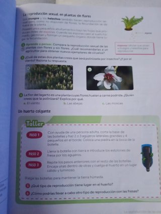 Ciencias de la naturaleza. 5 Primaria. Revuela....